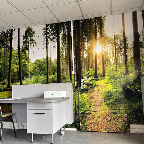 portfolio local_professionnel